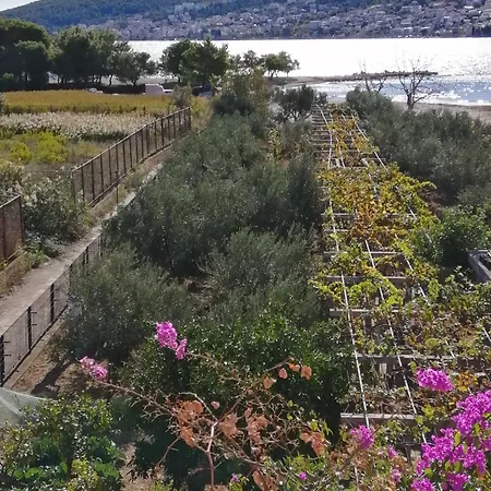 Apartment Vila-zorka Trogir